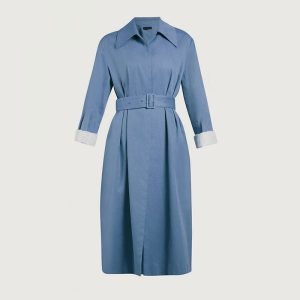 Blue Dress